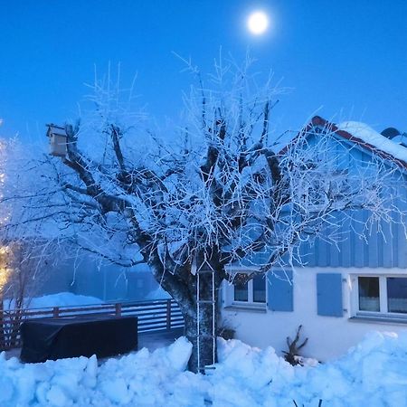 Knuschbrhaisle Oberreute Exteriör bild