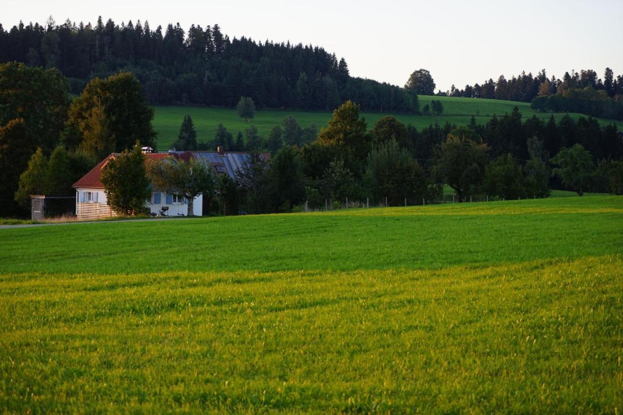 Knuschbrhaisle Oberreute Exteriör bild